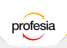 The Network - Profesia logo